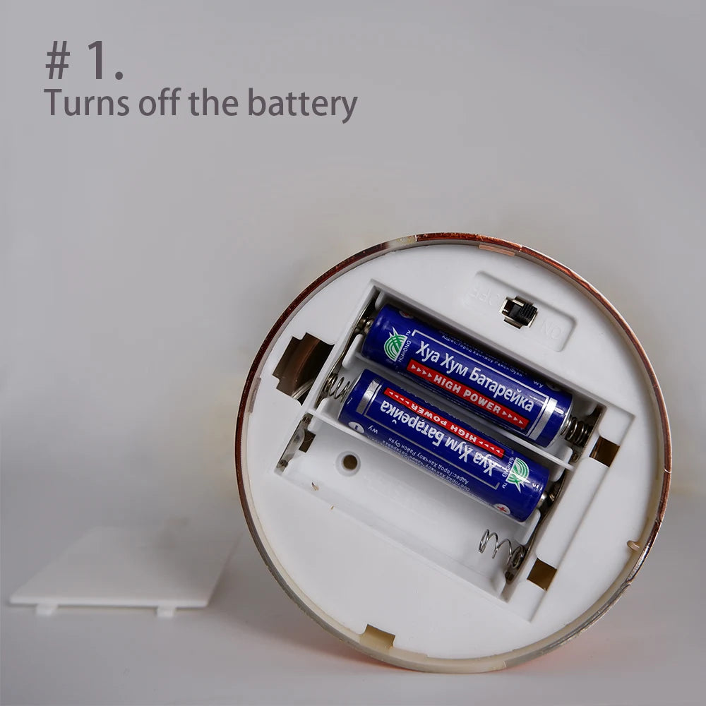 "Luce Leggera" – LED Feather Table Lamp By Enzo Bellari®