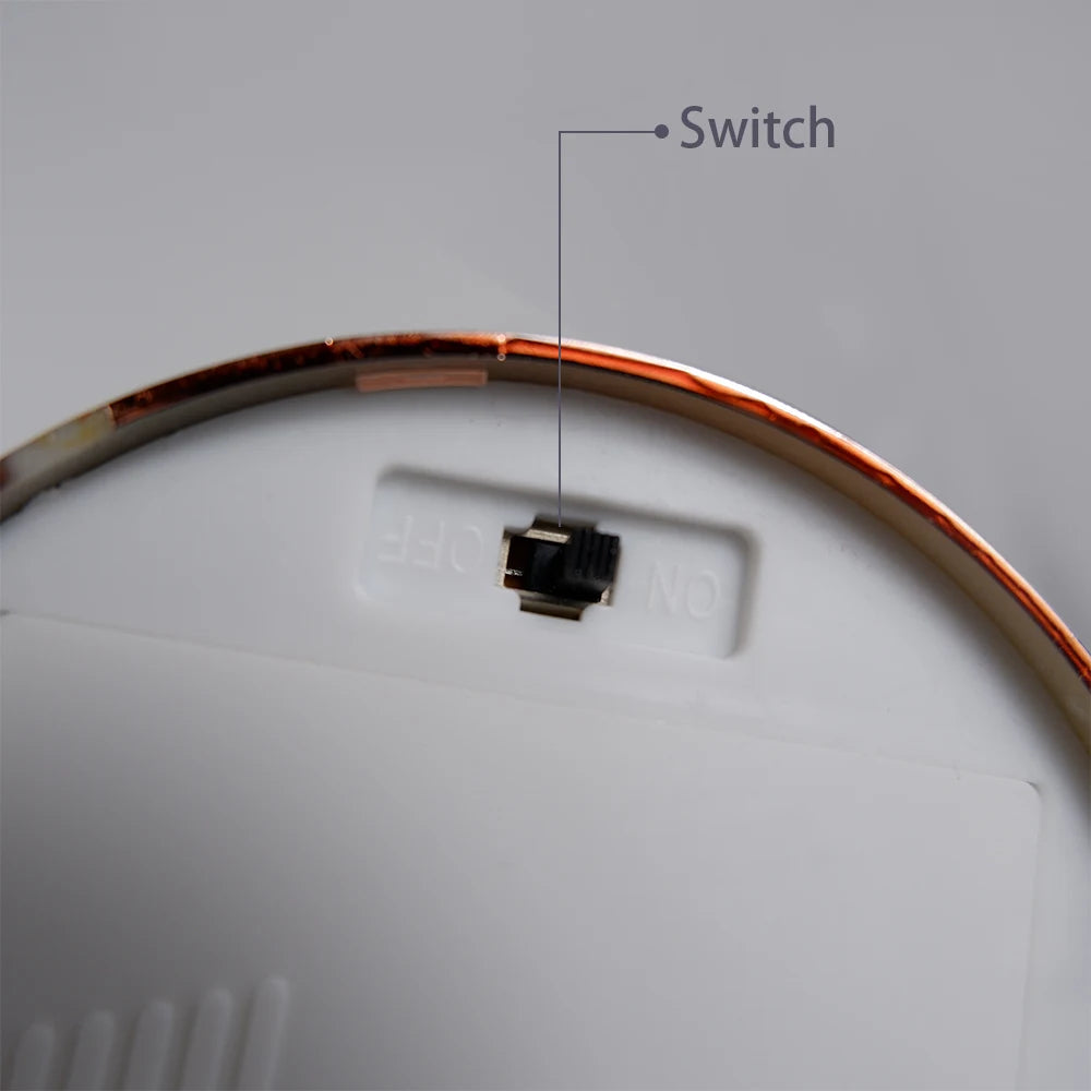 "Luce Leggera" – LED Feather Table Lamp By Enzo Bellari®