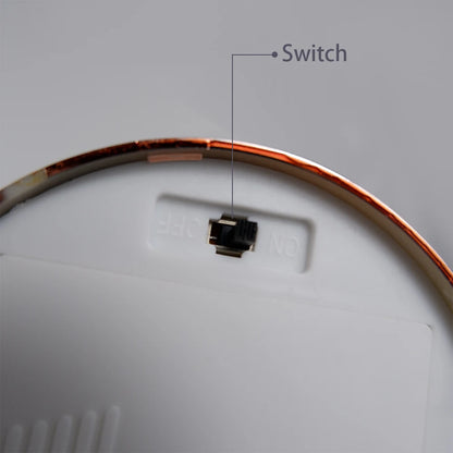 "Luce Leggera" – LED Feather Table Lamp By Enzo Bellari®